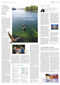 03. August 2014 Berliner Morgenpost